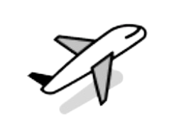 Flight Icon